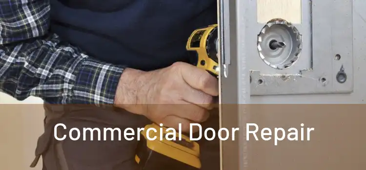 Commercial Door Repair