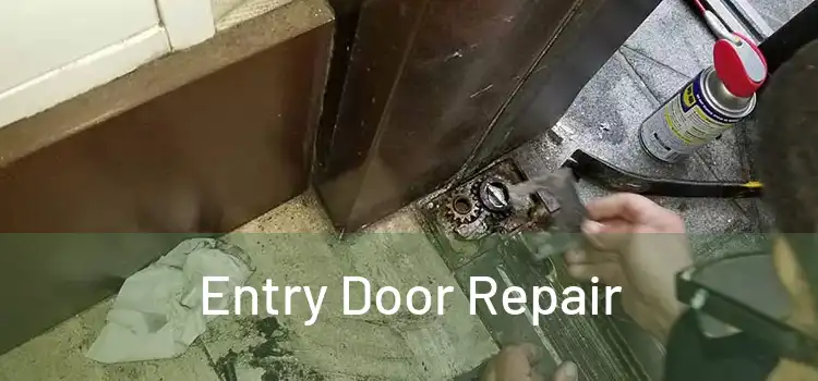 Entry Door Repair